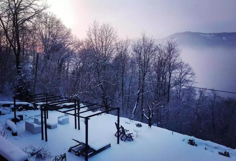 ベッドアンドブレックファースト Essentia Guest House