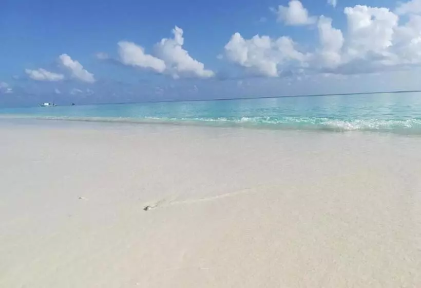 ベッドアンドブレックファースト Masseria Le Terrazze Di Serranova