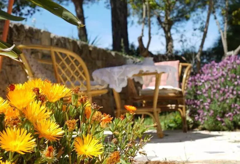 ベッドアンドブレックファースト Masseria Le Terrazze Di Serranova