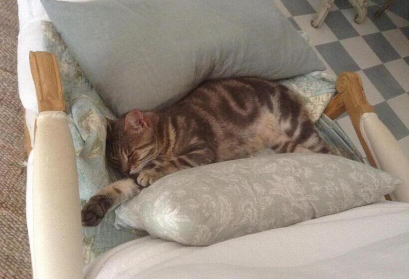 مبيت وإفطار Mas De Rique