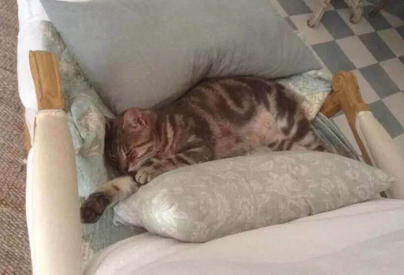 Aamiaismajoitus (B&B) Mas De Rique