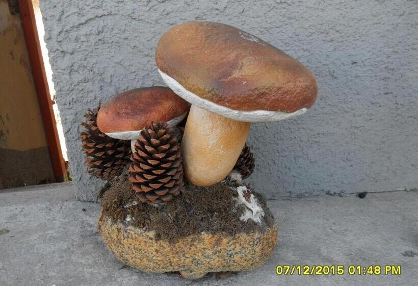 Bed & Breakfast Garrupa