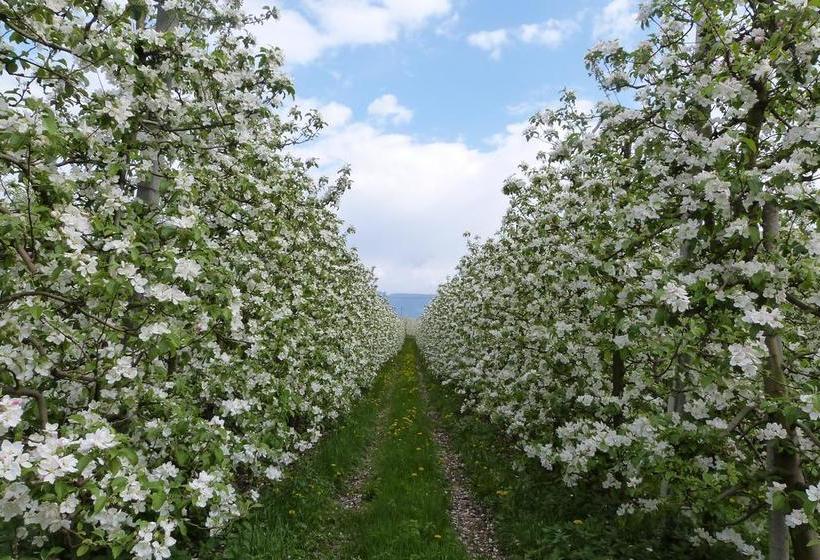 ホテル Garni Andrianerhof