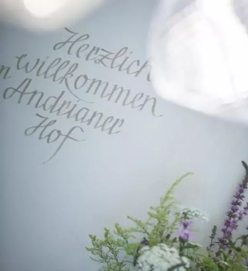 ホテル Garni Andrianerhof