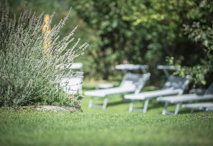 ホテル Garni Andrianerhof