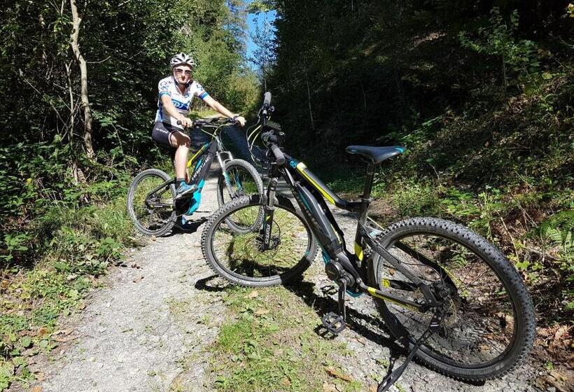 בית מלון כפרי Karin