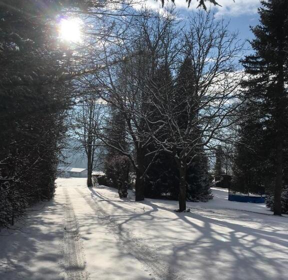 酒店 B&b Pension Karlsdorfer Hof