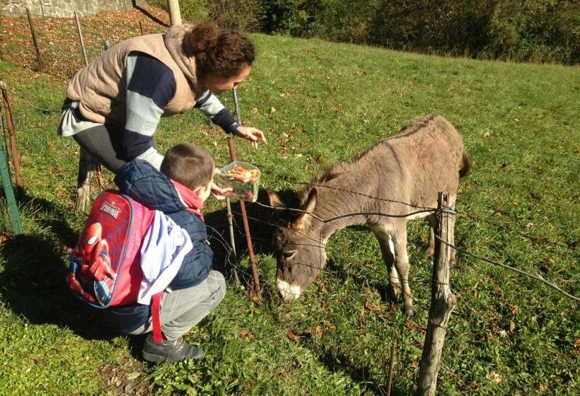 ホテル Villa Patrizia