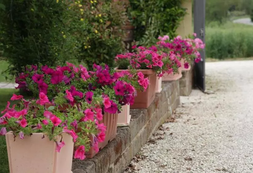 Rosemarie B&b