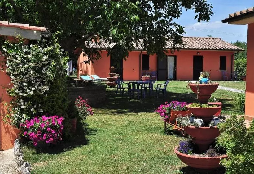 Rosemarie B&b