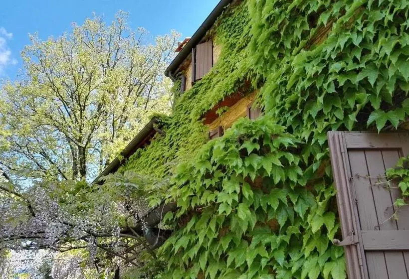 B&b Le Due Volpi