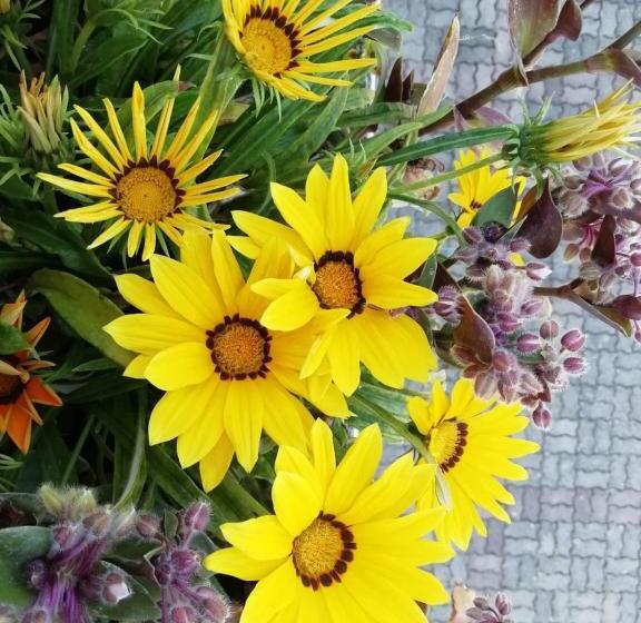 Nocleg ze śniadaniem Ma.di Bb