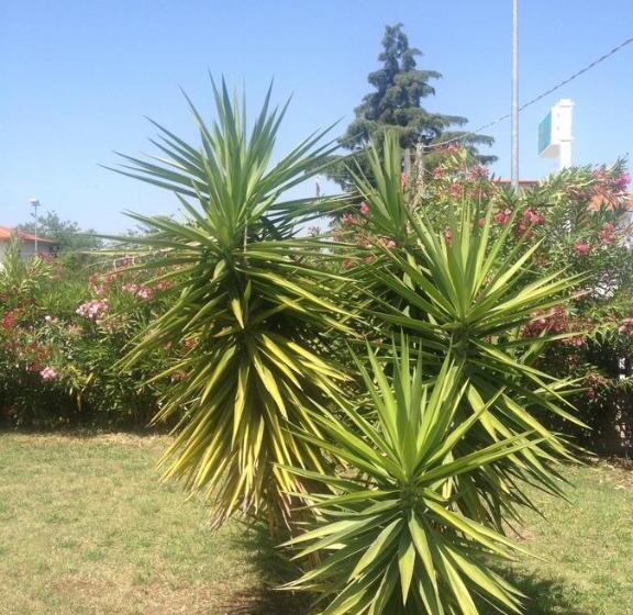 Nocleg ze śniadaniem Ma.di Bb