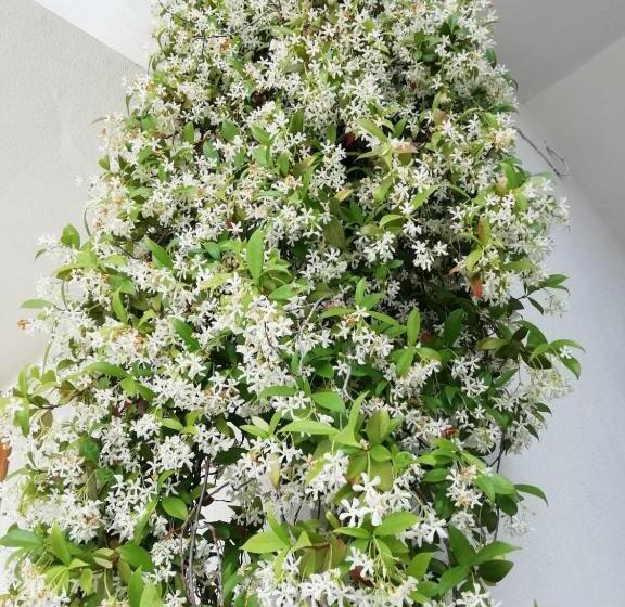 Nocleg ze śniadaniem Ma.di Bb