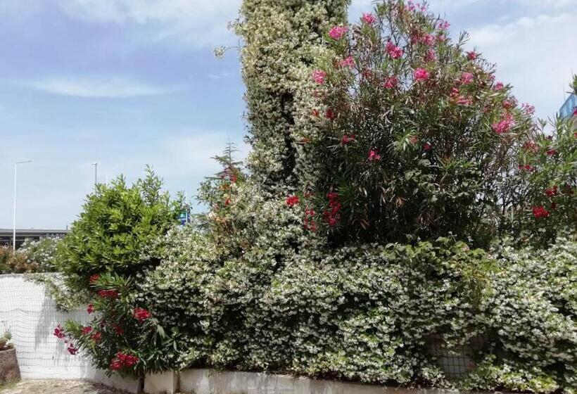 Nocleg ze śniadaniem Ma.di Bb