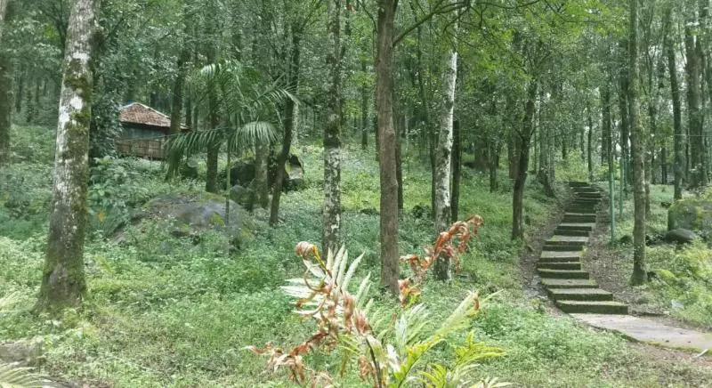 Blue Ginger Resorts