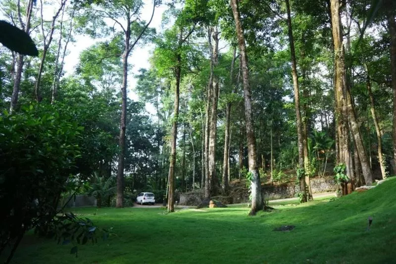 Blue Ginger Resorts
