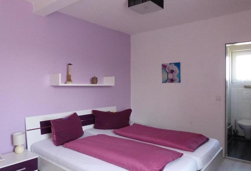 Отель Brandaris