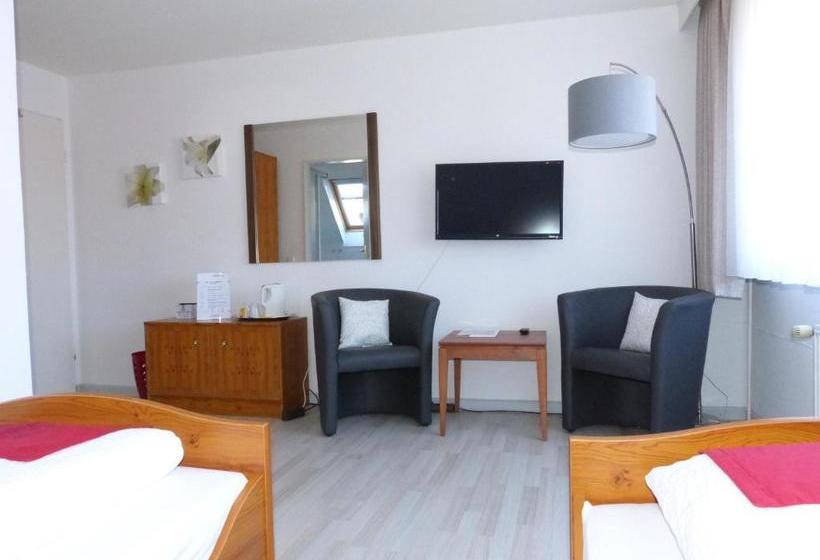 Отель Brandaris