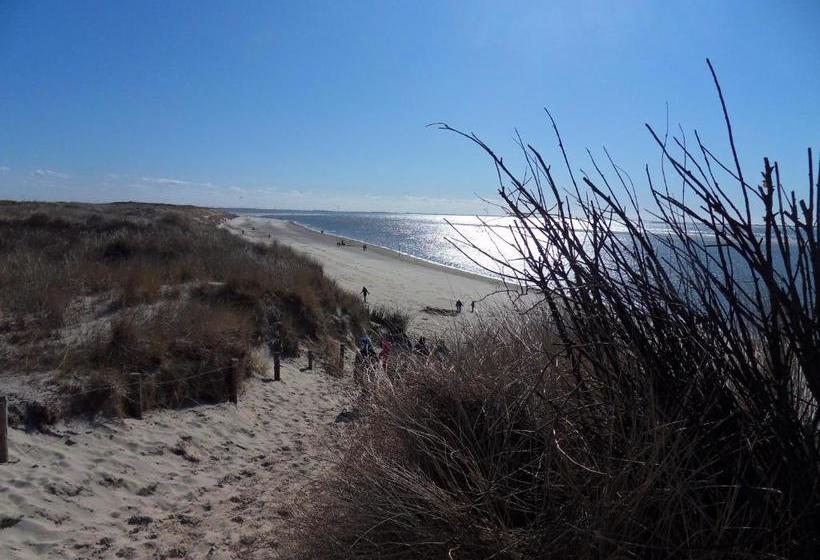 Отель Brandaris