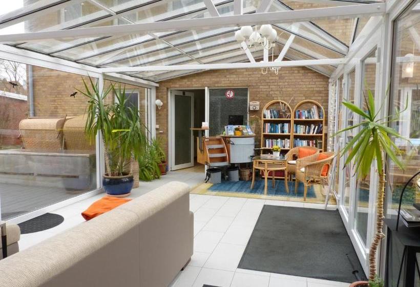 Отель Brandaris