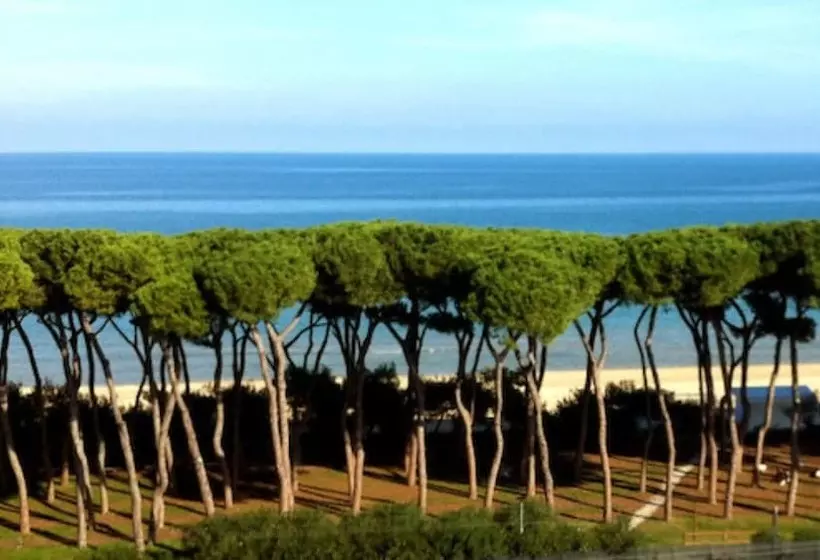 ホテル Pineto Resort