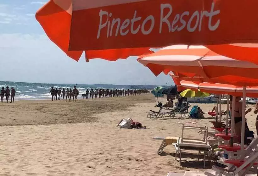 ホテル Pineto Resort