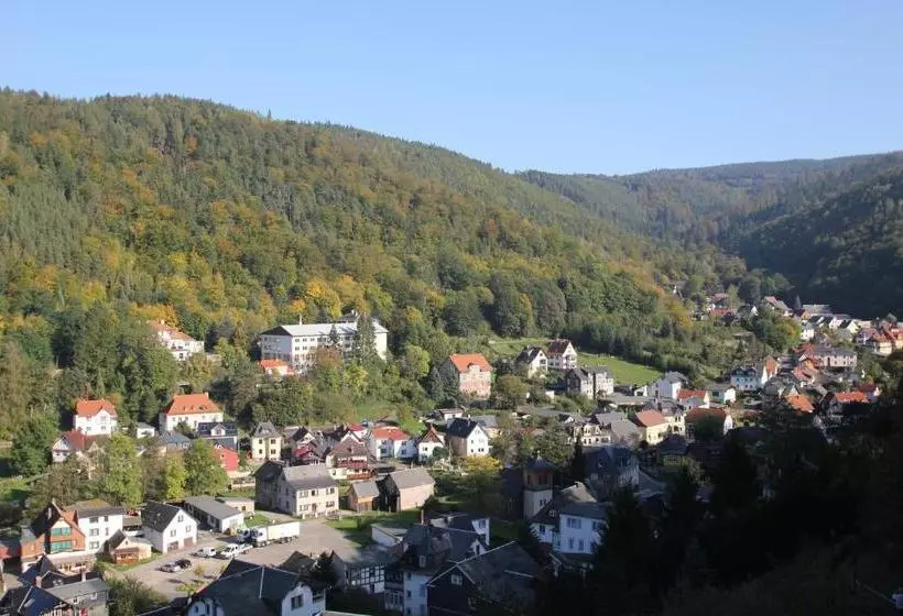 Hotelli Schwarzaburg