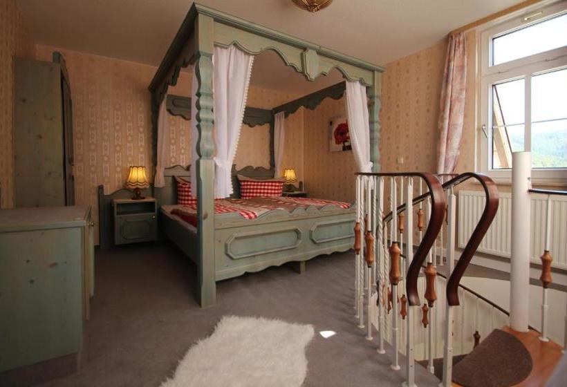 בית מלון כפרי Schwarzaburg