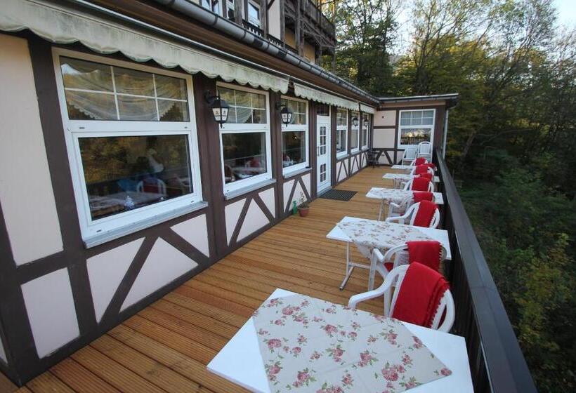 בית מלון כפרי Schwarzaburg