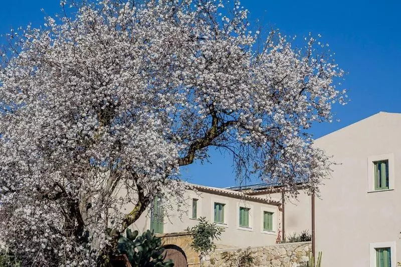 Resort Fontes Episcopi