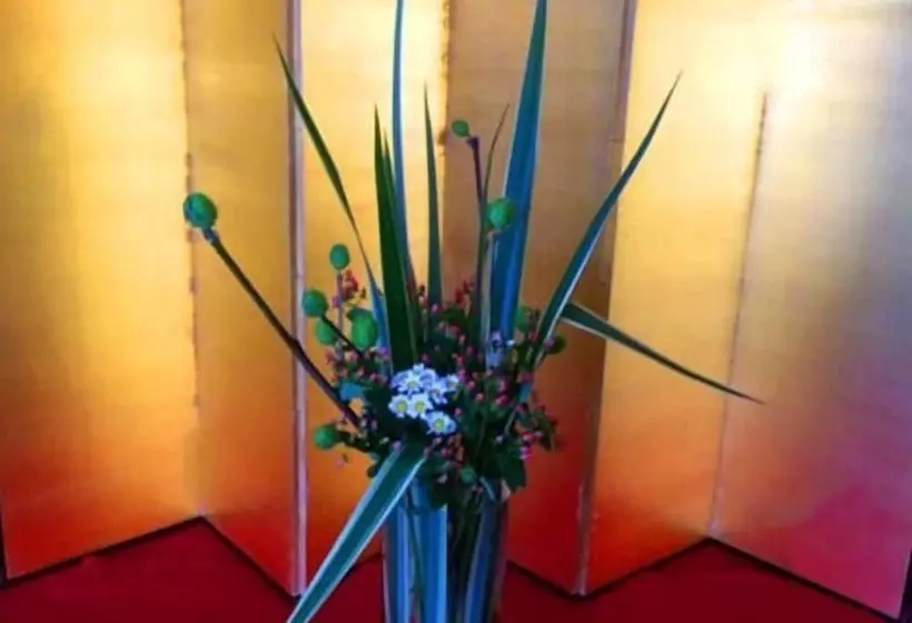 Ryokan Iine Hotel Resea Minamichita