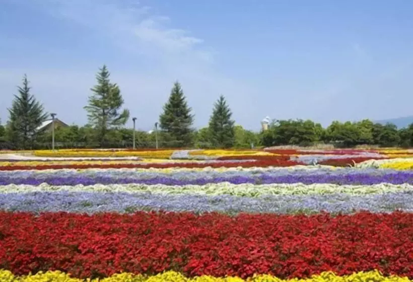 Ryokan Iine Hotel Resea Minamichita