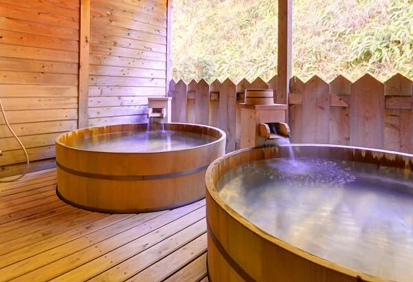 Ryokan Iine Hotel Resea Minamichita