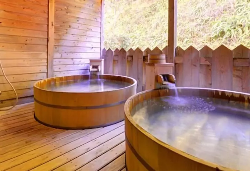 Ryokan Iine Hotel Resea Minamichita