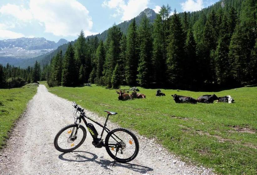 Appartamenti Majon Sotroi