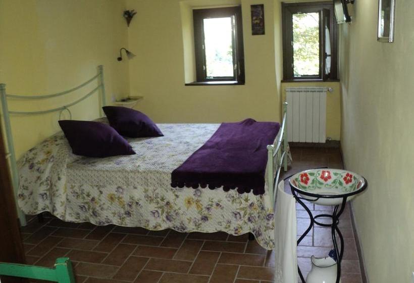 住宿加早餐 Piccolo Borgo Del Giglio