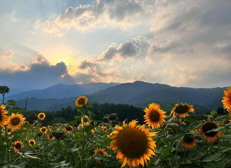 فندق Locanda Alla Posta