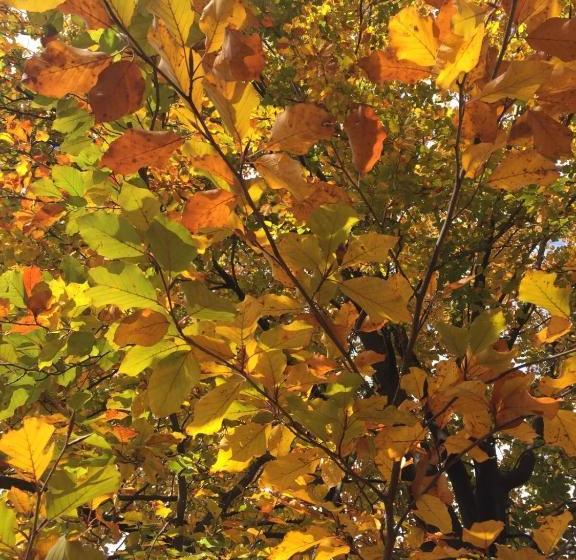 B&b Il Castello Del Ghiro Rent E Bike