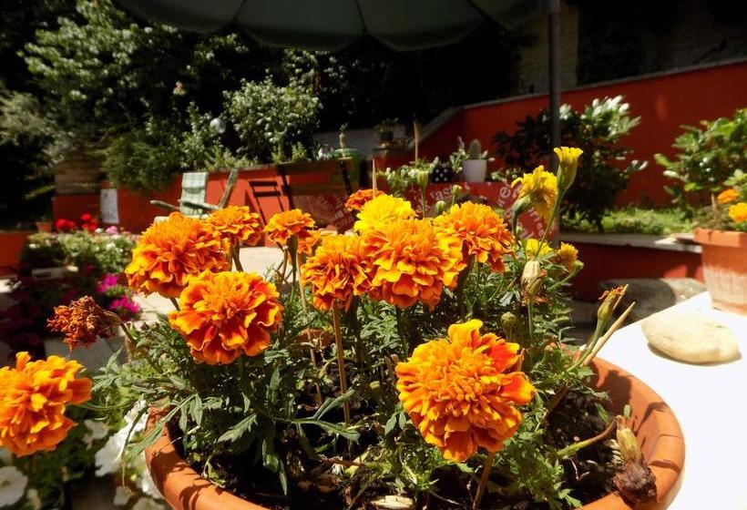 B&b Il Giardino Delle Camelie