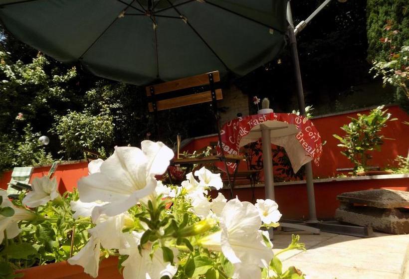B&b Il Giardino Delle Camelie