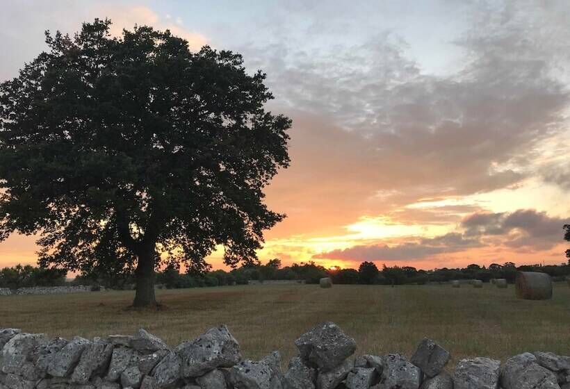 تختخواب و صبحانه Aria Di Casa Country Resort