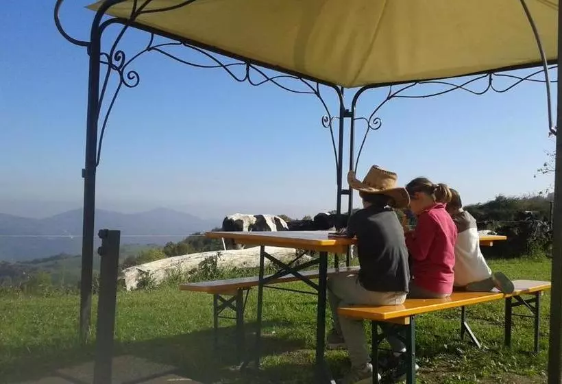 Aamiaismajoitus (B&B) Malga Zebari