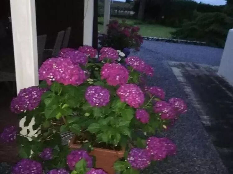 Aamiaismajoitus (B&B) Villa Ceirano