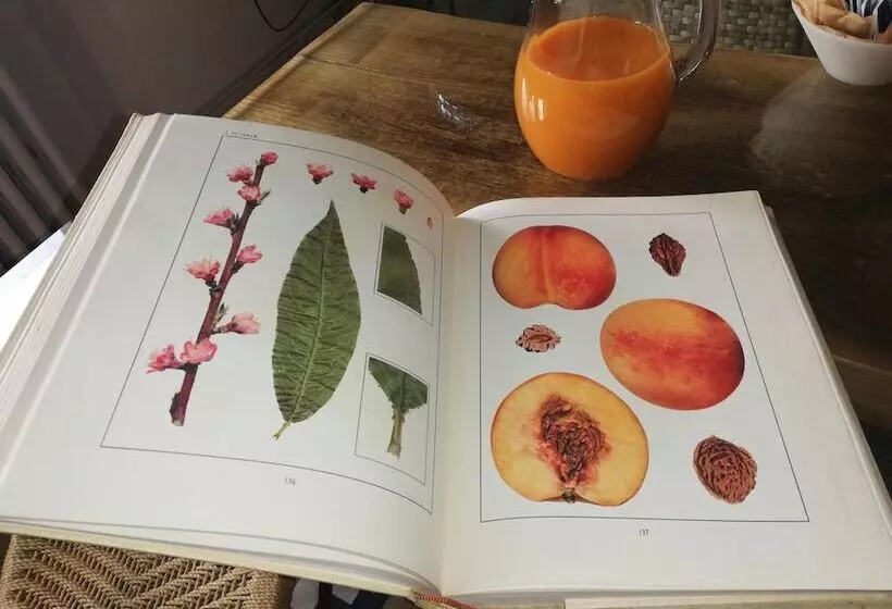 Aamiaismajoitus (B&B) Villa Ceirano