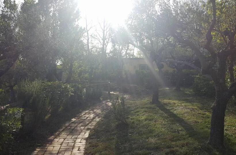 Bed and Breakfast Villa Montemma