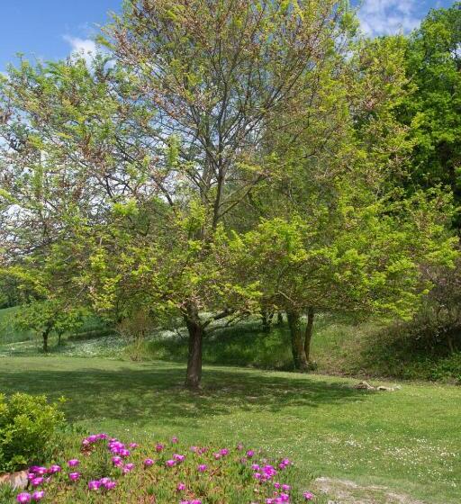 Armonia Della Sera B&b And Relax