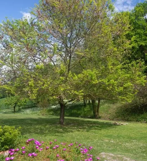 Armonia Della Sera B&b And Relax