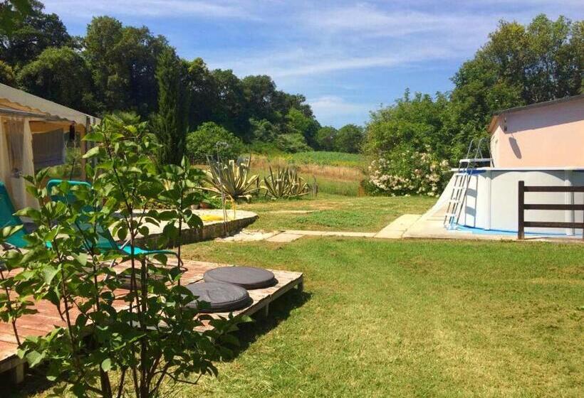 Armonia Della Sera B&b And Relax