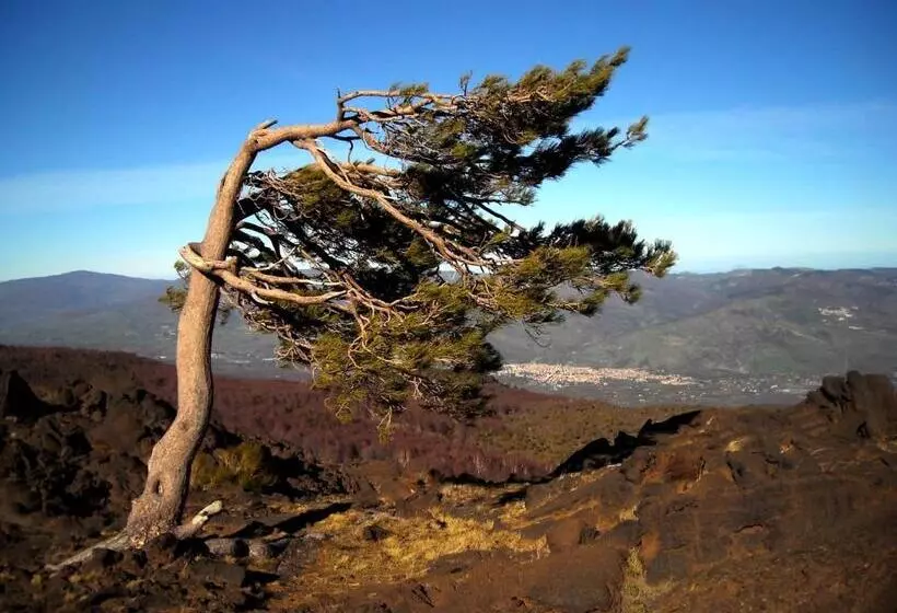 B&b La Casa Di Pippinitto